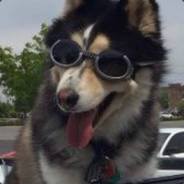 KOOKIEZROCKS