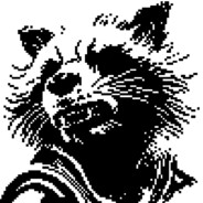 RACCOON