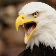 Fred "Volt'OR" Jesus