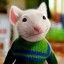 Stuart