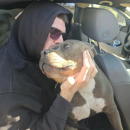 Discl0se.ttv