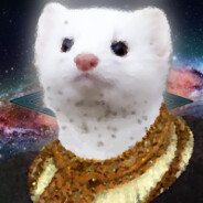 Stoat