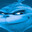 Group Avatar