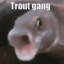 trout gaming