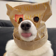 许爸爸