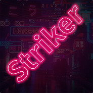 Striker - steam id 76561198110622201