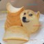 ||!||ЯedЯuM||!||Doge