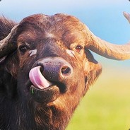 THE BUFFALO