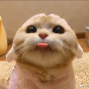 矿泉水