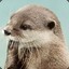 Otter of Games