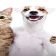 уехал