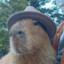 FaZe_CapyBara