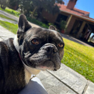Gioooo1