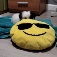 jolugara