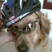 Boza (Vassil)'s Avatar