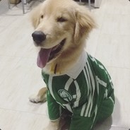 ptkl