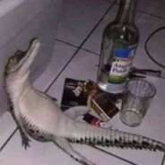 yackssj