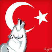 BoZKuRT [GREY WoLF]