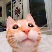 Kitttt's Avatar