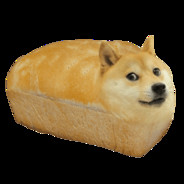 doge bread      doge bread