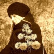 maitestar
