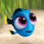 Dory