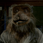 Pika-Neitor