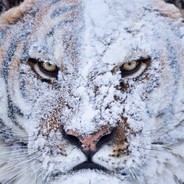 ЗатКнисЬ