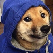 Doge of Venice