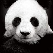 76561198047346320