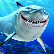 SuperShark