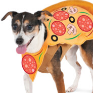 Pizza Dog