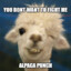 TotalAlpaca