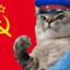 Советский кот