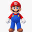 Mario (From Mario)