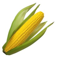 szymz