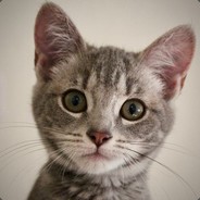 COUNTER ME, PUSSY!