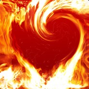 baum_im_wald