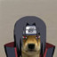 Itachi_Doggo