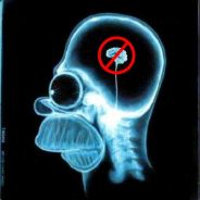 No BRaiNs