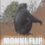 monke flip