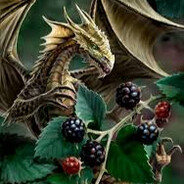 blackberry dragon