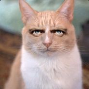 Olaf_SD