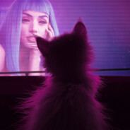 Catrunner 2049