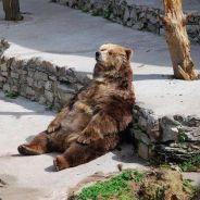 just bear it!!