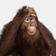 DK AUTISTA