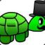 top hat turtle