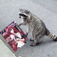 RaccoonBobby