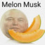 Melon Musk