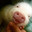 Group Avatar